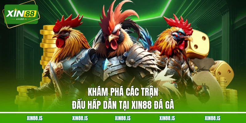 kham-pha-cac-tran-dau-hap-dan-tai-xin88-da-ga