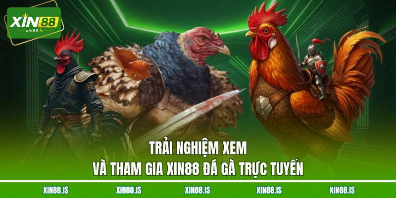 trai-nghiem-xem-va-tham-gia-xin88-da-ga-truc-tuyen