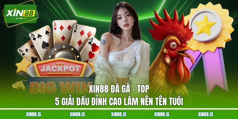 xin88-da-ga-top-5-giai-dau-dinh-cao-lam-nen-ten-tuoi